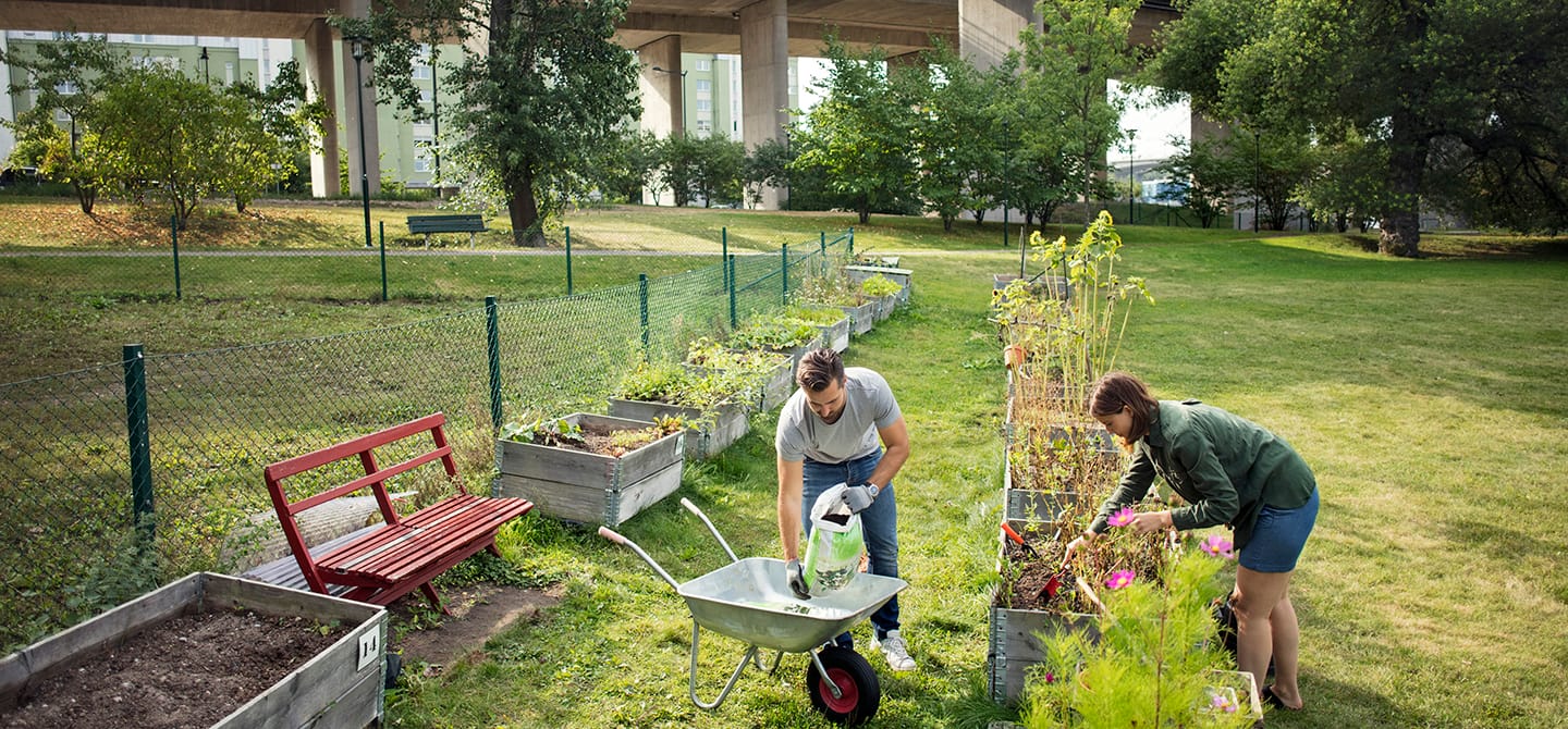 img_urban garden