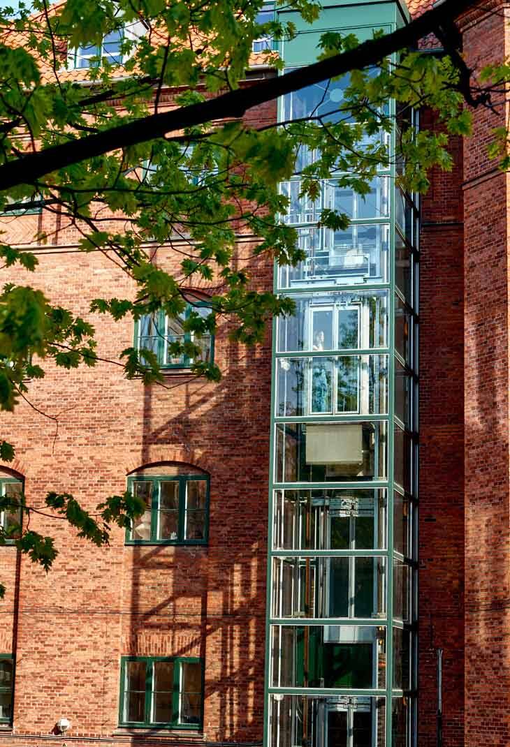 Img_Ingrid Jespersens Gymnasieskole web 2 730x1070px