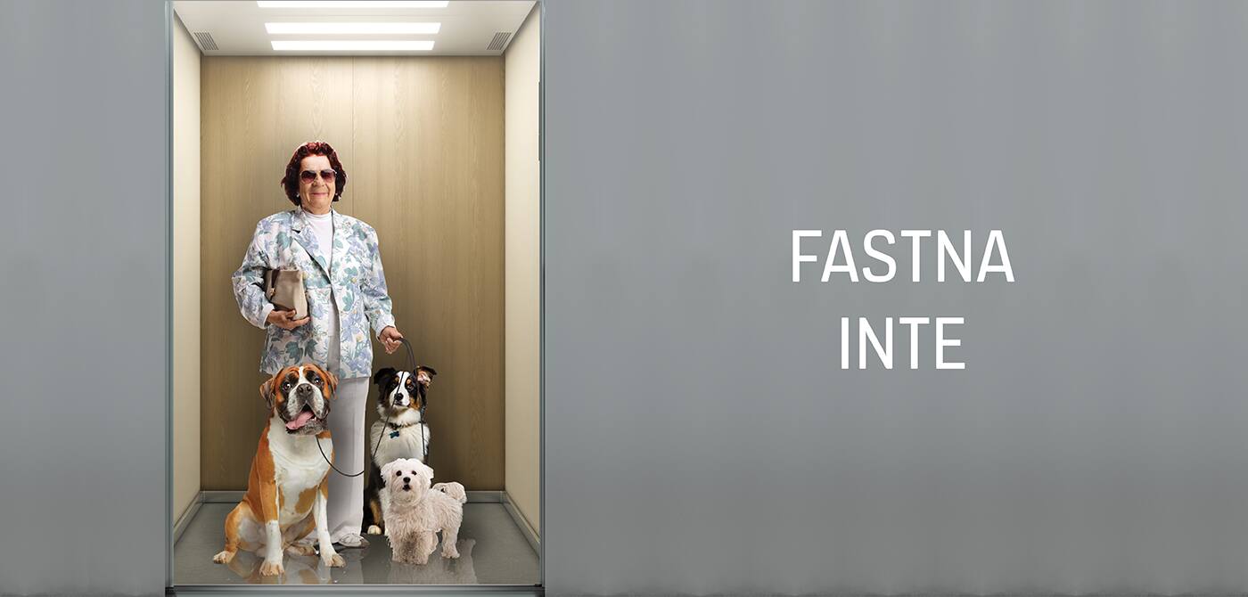 1400x670_BG_Doglady-grey